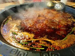 -梦幻奥陶纪景区