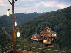 -杭州开元森泊度假乐园