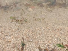 -石槽海滨浴场