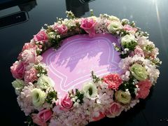 android_upload_pic-星尚嫁日(红星国际广场店)