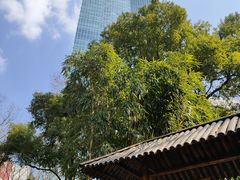 -静安公园(静安寺街道)