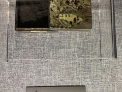 -上海市龙华烈士陵园