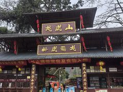-广西龙虎山风景区