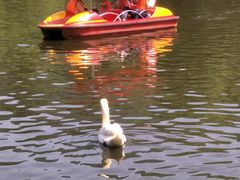 -西安秦岭野生动物园