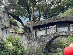 -四明山国家森林公园