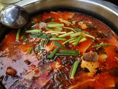 -大理.老字号渝记酸萝卜乌鱼(古城总店)