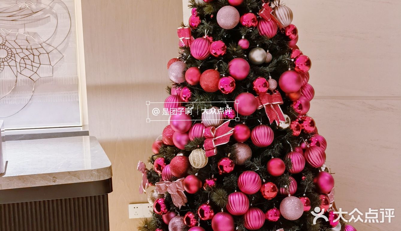 北京蕞粉圣诞树上线啦‼️