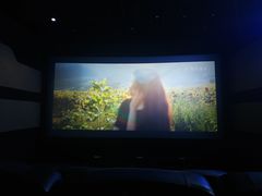 -金逸影城(光美江宁IMAX店)