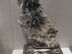 -湖南省地质博物馆