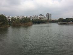 -新江湾城公园