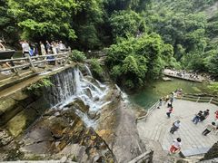 -鼎湖山风景区