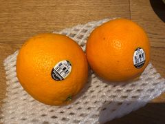 -上海龙吴水胜海发市场