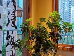 -云不知·私宴(杜甫草堂店)
