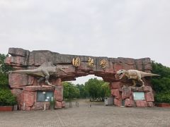 -上海海湾国家森林公园