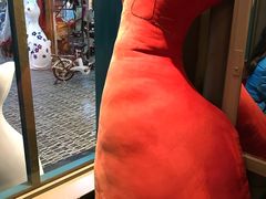 -猫咪博物馆(顶澳仔猫街店)