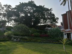 -鼓浪屿钢琴博物馆