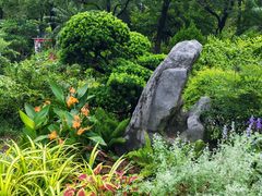 -东莞植物园
