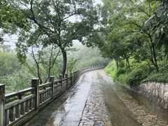 -九华山公园
