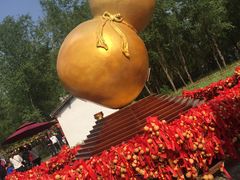 -溱湖国家湿地公园