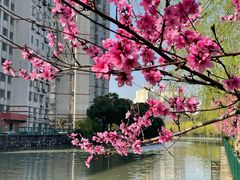 -黄兴公园