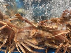 -徐记海鲜(大明宫|北二环店)