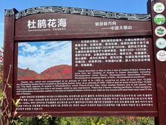 -大围山国家森林公园