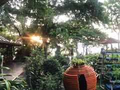 -卷心菜和避孕套餐厅(Pattaya)