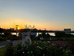 -立新湖公园