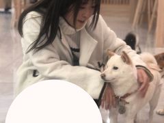 -柴犬小屋·柴餐厅·狗咖食堂(金鼎广场店)