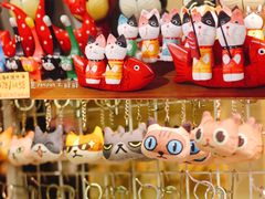 -猫咪博物馆(顶澳仔猫街店)