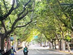 -上海新锦江大酒店