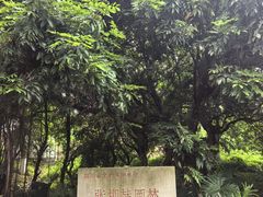 -张坝桂圆林公园