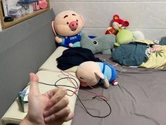 -蚝羊氣惠来羊肉火锅·高压锅生蚝