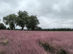 -汉长安城未央宫国家考古遗址公园