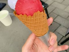 -洛佩塔蛋糕
