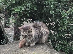 -晓港公园