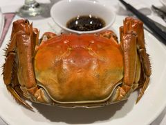 清蒸大闸蟹-新花城蟹粉馆(乌鲁木齐店)