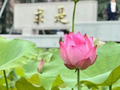 -浙江大学(紫金港校区)