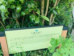 -九龙潭景区
