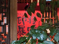 -石涧故事·私房菜(紫云路店)