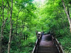 -天女山森林公园