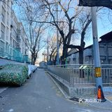 [爱心]北京胡同漫游记🚴
