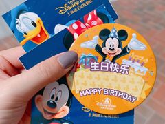 -上海迪士尼度假区