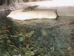 -临沂极地海洋王国