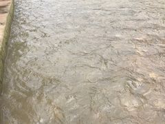 -青城两河漂流