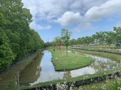 -上海长兴岛郊野公园