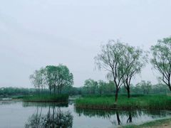 -大兴滨河森林公园