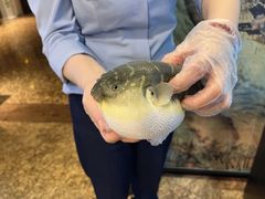 -肆月河豚·淮扬菜·湘菜(华天店)