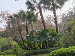 -晓港公园