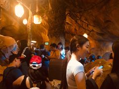 -奥兰多迪士尼动物王国乐园